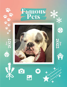 Famous Pets: June 2024-June 2025 Wall Calendar (Pre-Order)