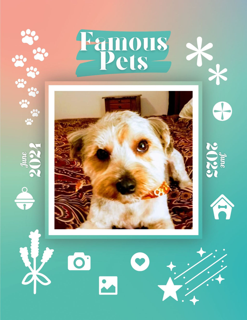 Famous Pets: June 2024-June 2025 Wall Calendar (Pre-Order)