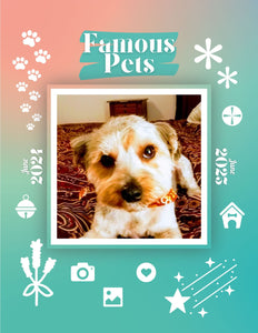 Famous Pets: June 2024-June 2025 Wall Calendar (Pre-Order)