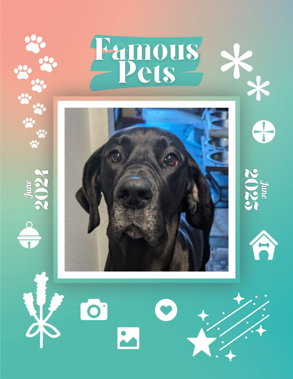 Famous Pets: June 2024-June 2025 Wall Calendar (Pre-Order)