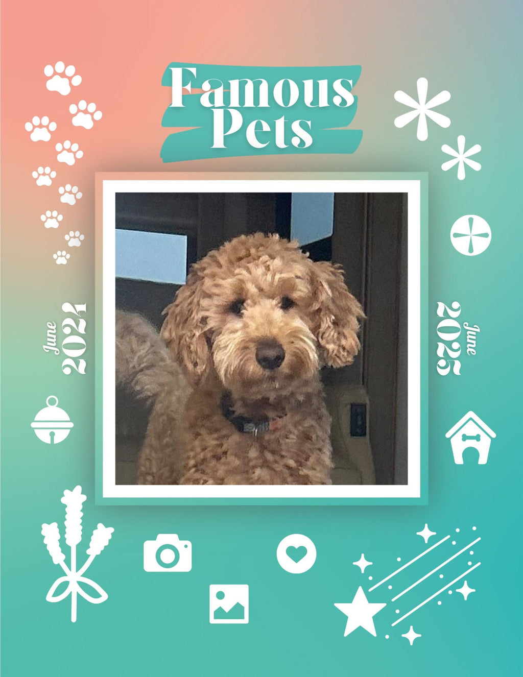 Famous Pets: June 2024-June 2025 Wall Calendar (Pre-Order)