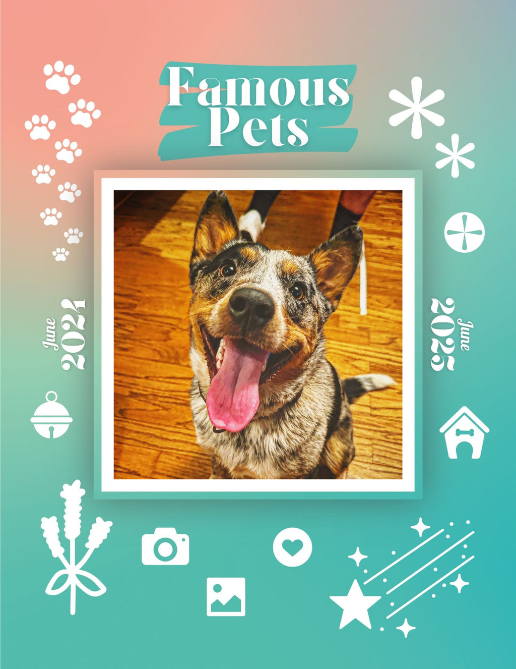 Famous Pets: June 2024-June 2025 Wall Calendar (Pre-Order)