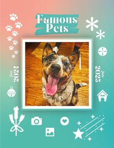 Famous Pets: June 2024-June 2025 Wall Calendar (Pre-Order)