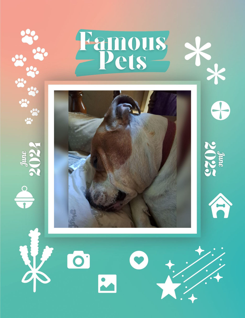 Famous Pets: June 2024-June 2025 Wall Calendar (Pre-Order)
