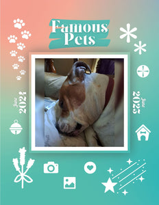 Famous Pets: June 2024-June 2025 Wall Calendar (Pre-Order)