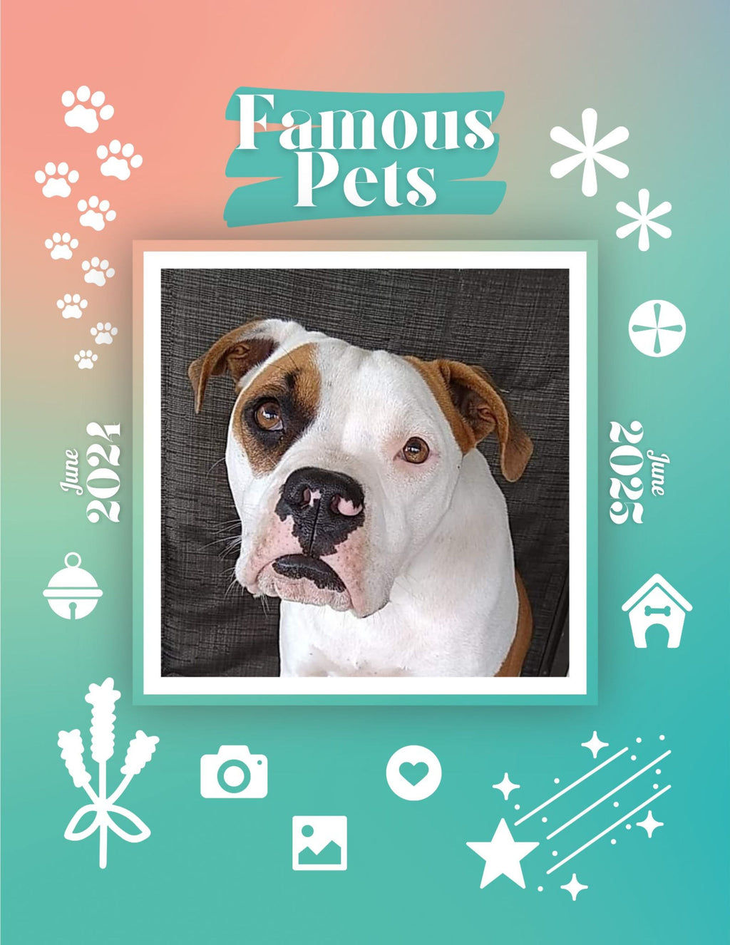 Famous Pets: June 2024-June 2025 Wall Calendar (Pre-Order)