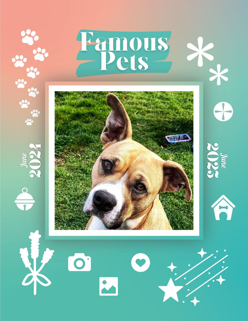 Famous Pets: June 2024-June 2025 Wall Calendar (Pre-Order)