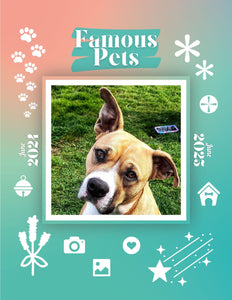 Famous Pets: June 2024-June 2025 Wall Calendar (Pre-Order)