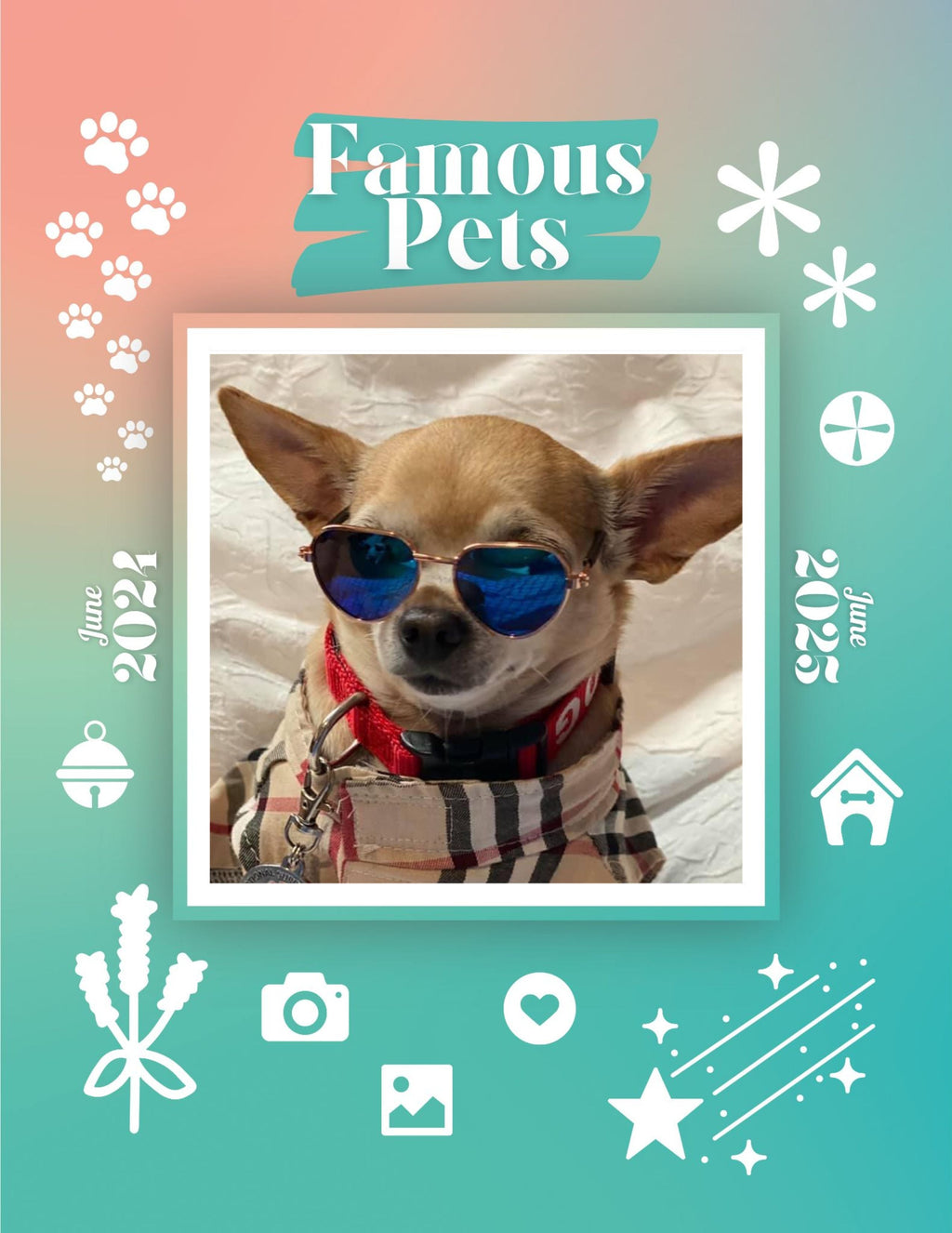 Famous Pets: June 2024-June 2025 Wall Calendar (Pre-Order)