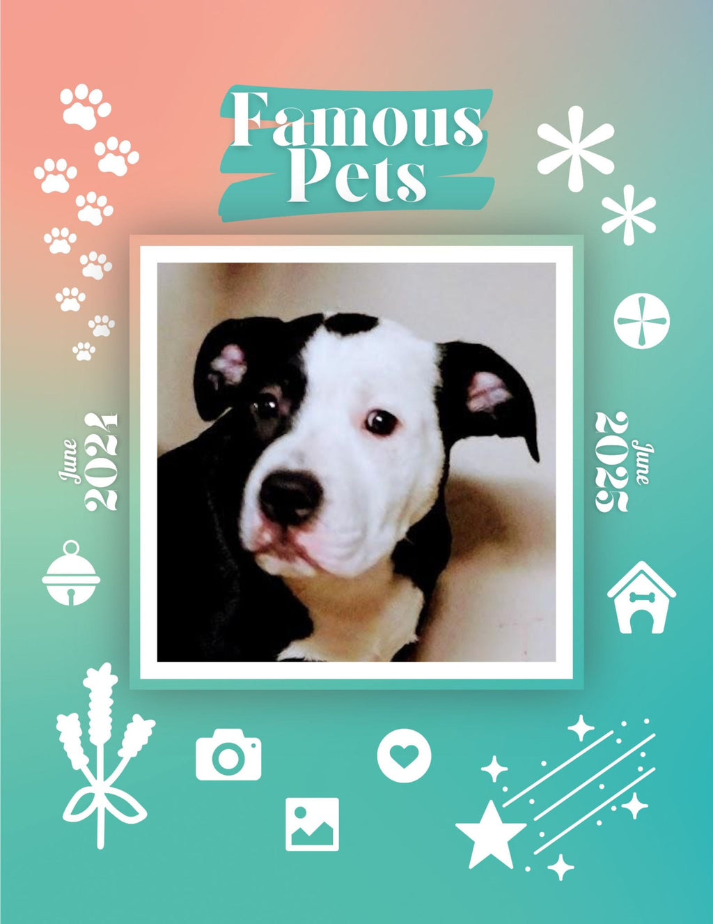 Famous Pets: June 2024-June 2025 Wall Calendar (Pre-Order)