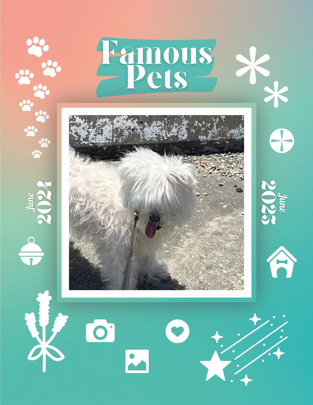 Famous Pets: June 2024-June 2025 Wall Calendar (Pre-Order)