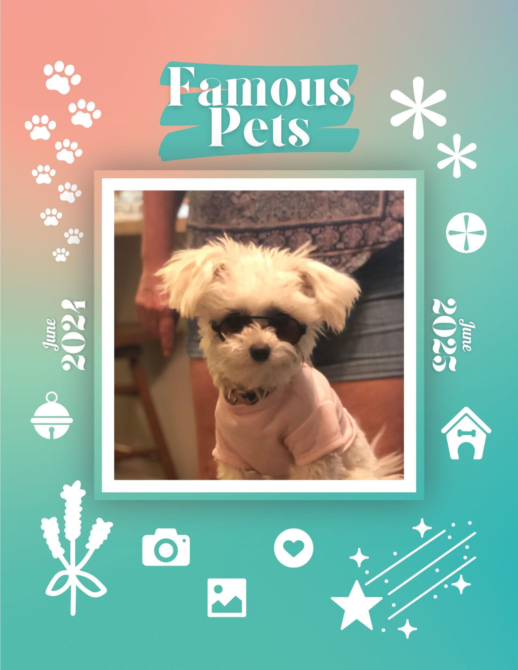 Famous Pets: June 2024-June 2025 Wall Calendar (Pre-Order)