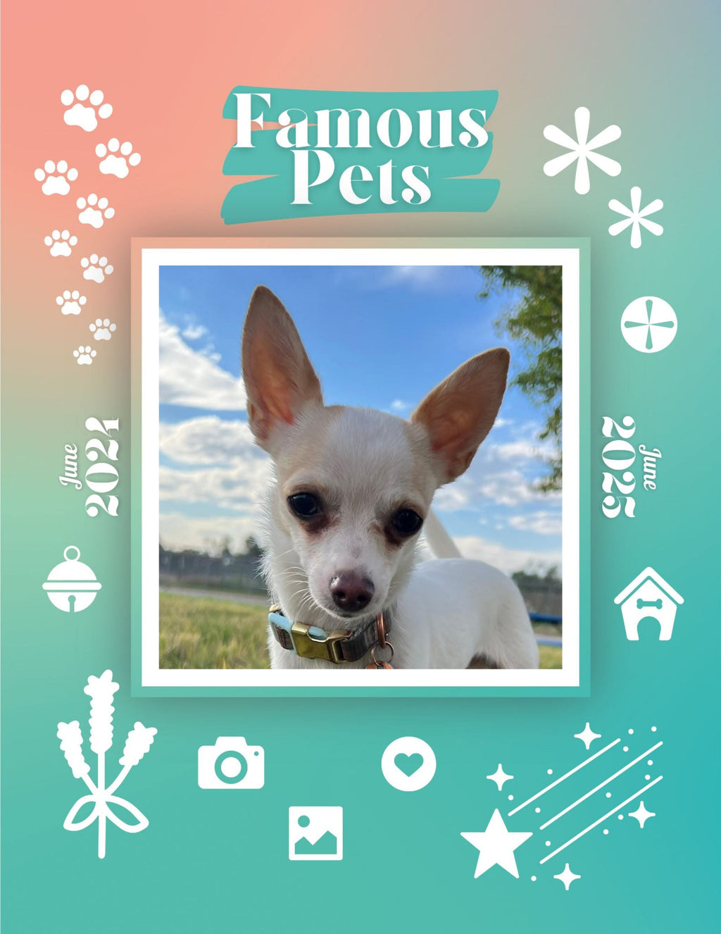 Famous Pets: June 2024-June 2025 Wall Calendar (Pre-Order)