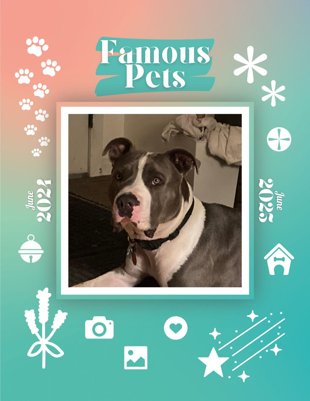 Famous Pets: June 2024-June 2025 Wall Calendar (Pre-Order)