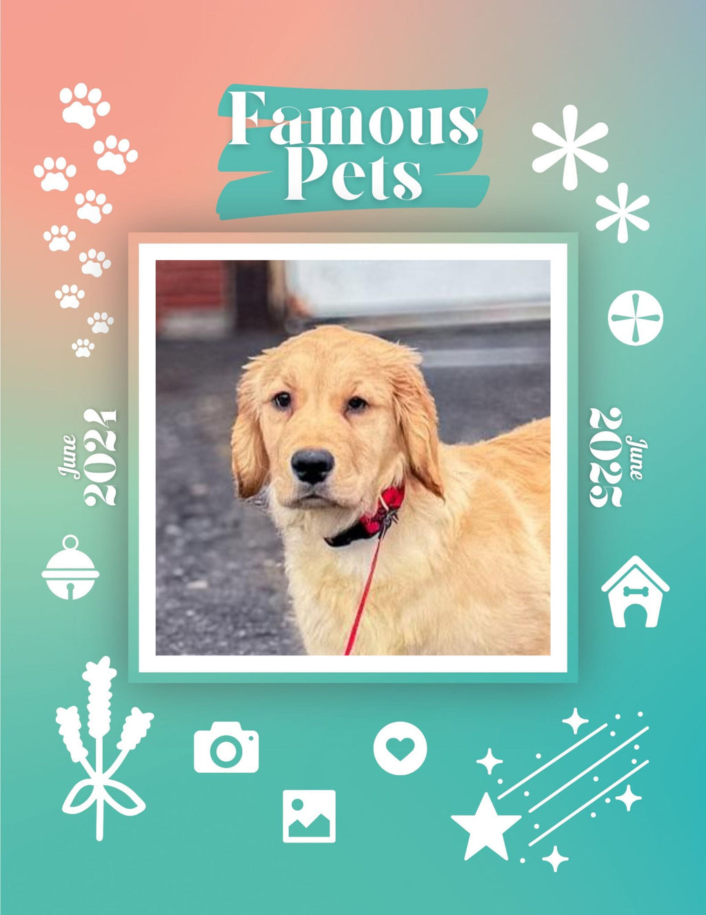 Famous Pets: June 2024-June 2025 Wall Calendar (Pre-Order)