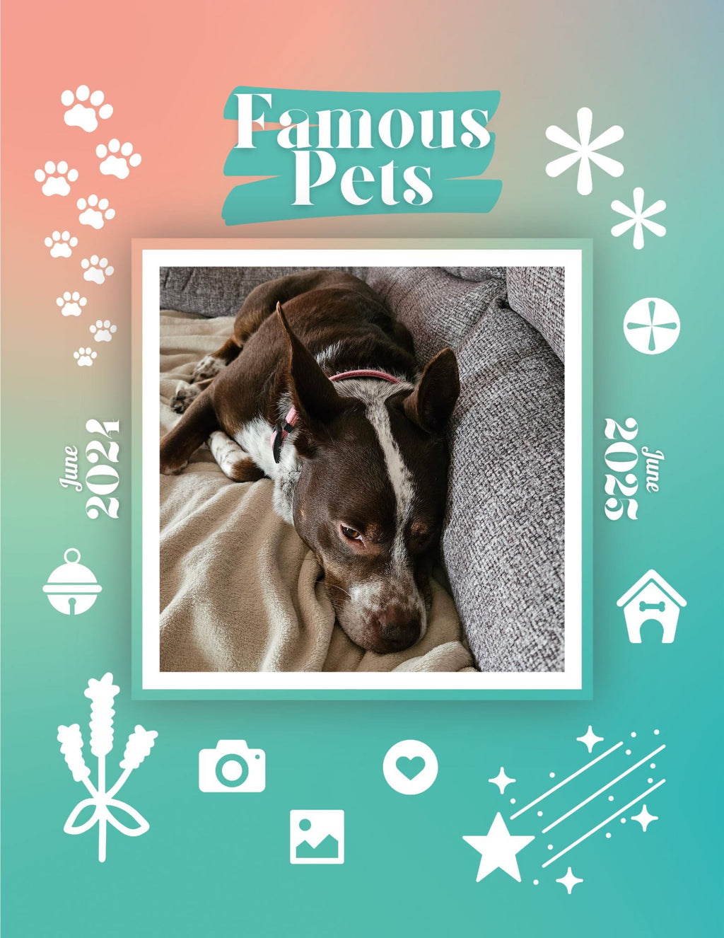 Famous Pets: June 2024-June 2025 Wall Calendar (Pre-Order)