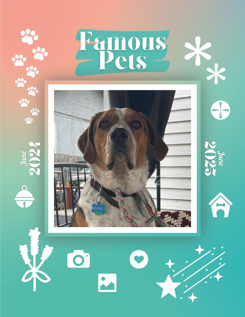 Famous Pets: June 2024-June 2025 Wall Calendar (Pre-Order)