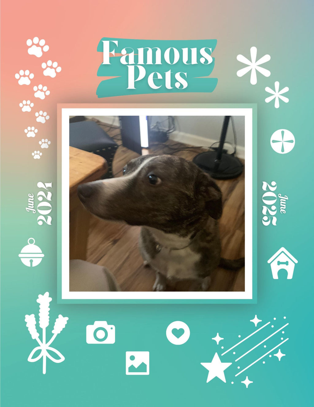 Famous Pets: June 2024-June 2025 Wall Calendar (Pre-Order)