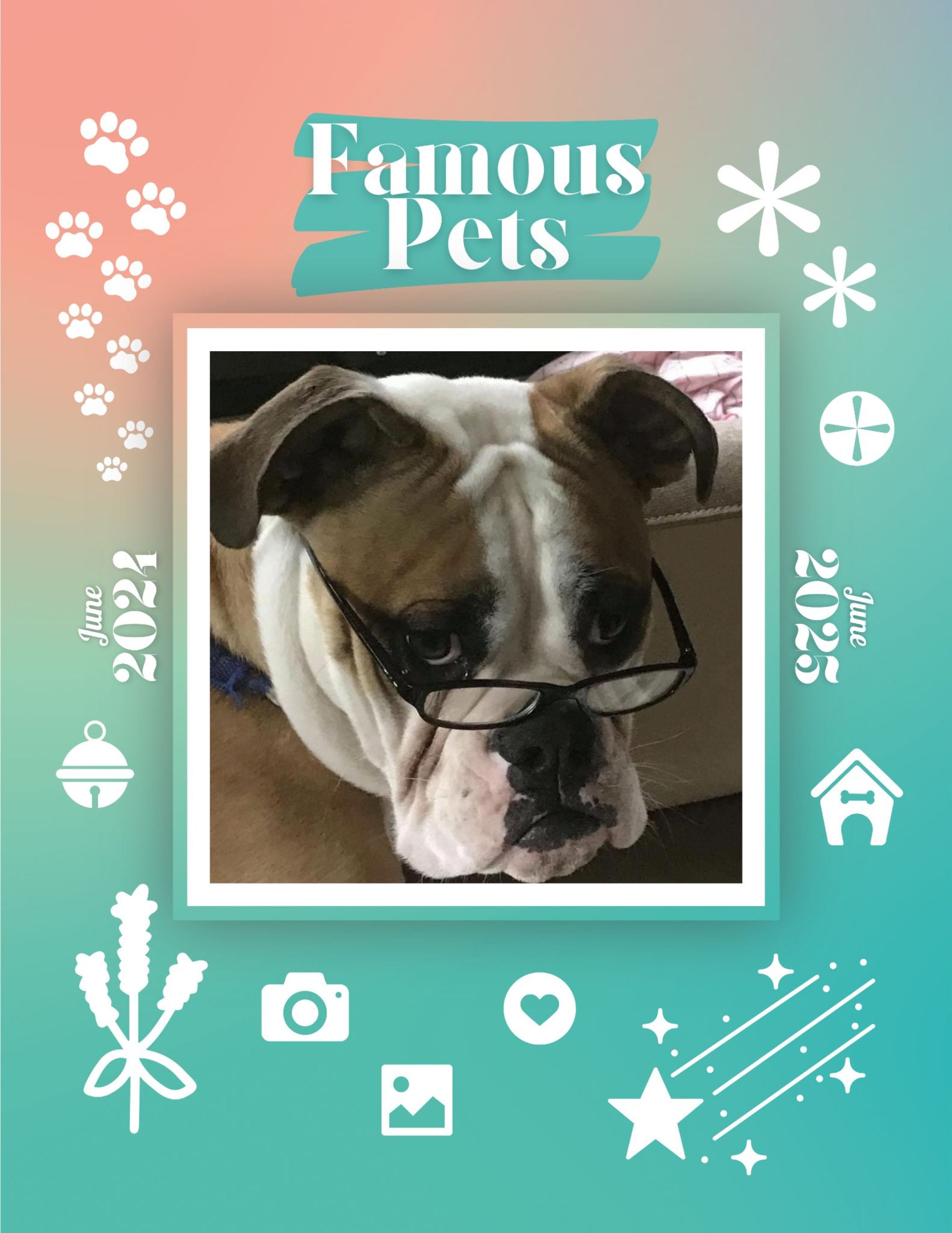 Famous Pets: June 2024-June 2025 Wall Calendar (Pre-Order)