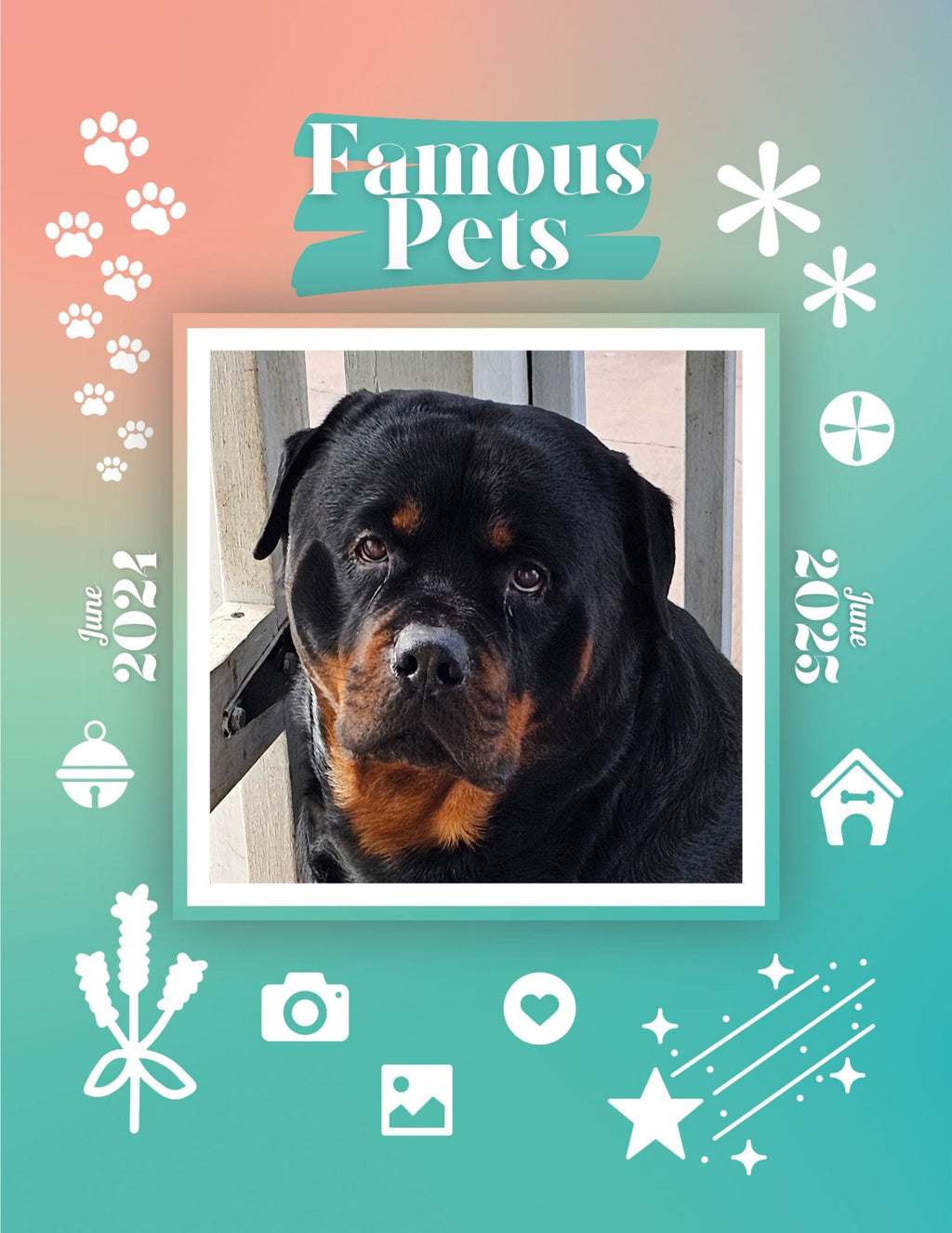Famous Pets: June 2024-June 2025 Wall Calendar (Pre-Order)