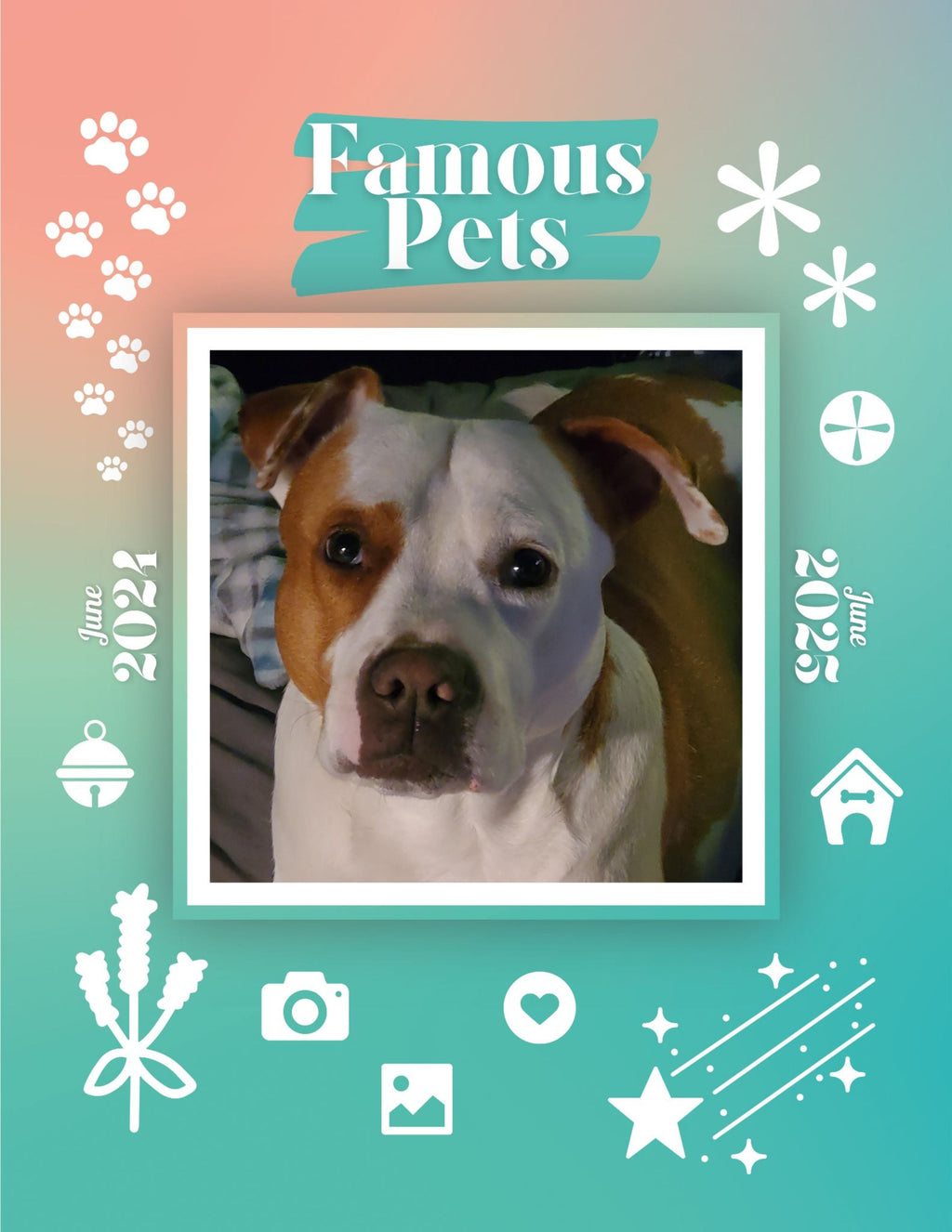Famous Pets: June 2024-June 2025 Wall Calendar (Pre-Order)