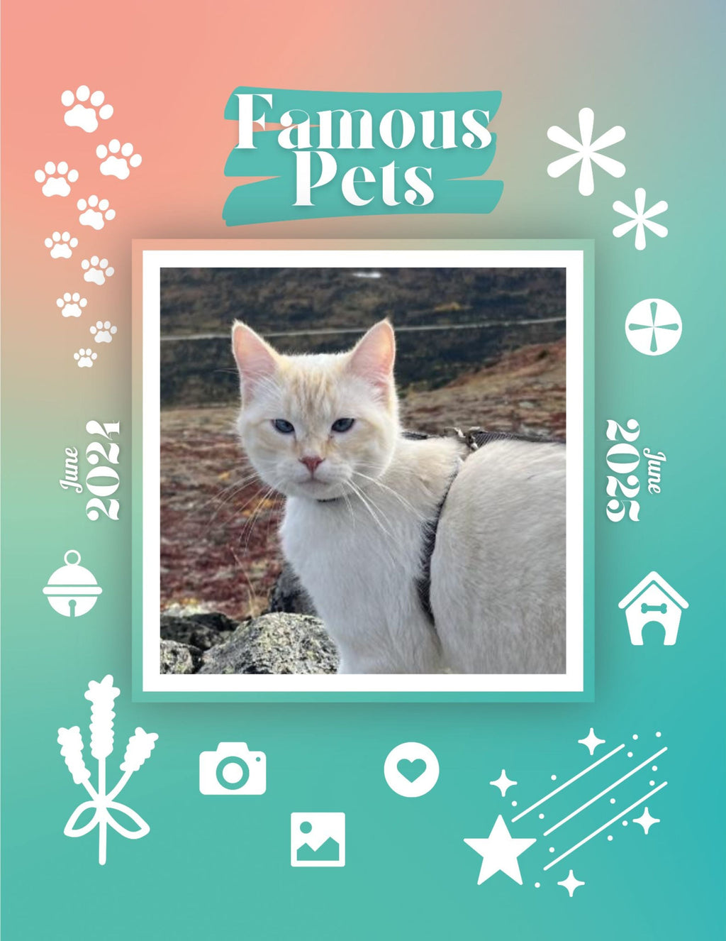 Famous Pets: June 2024-June 2025 Wall Calendar (Pre-Order)
