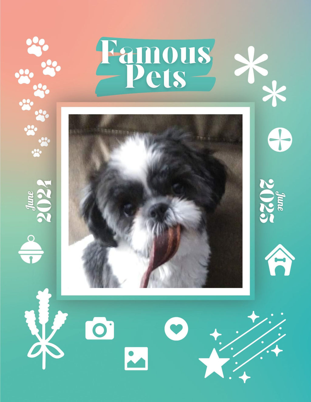 Famous Pets: June 2024-June 2025 Wall Calendar (Pre-Order)