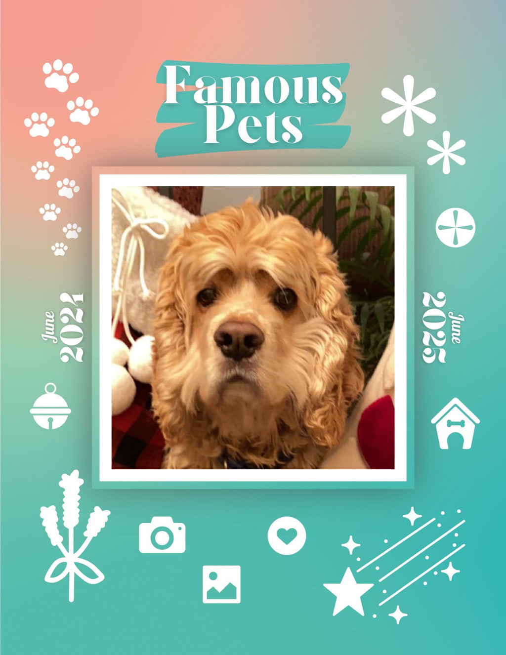 Famous Pets: June 2024-June 2025 Wall Calendar (Pre-Order)