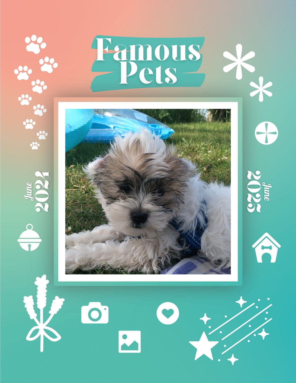 Famous Pets: June 2024-June 2025 Wall Calendar (Pre-Order)