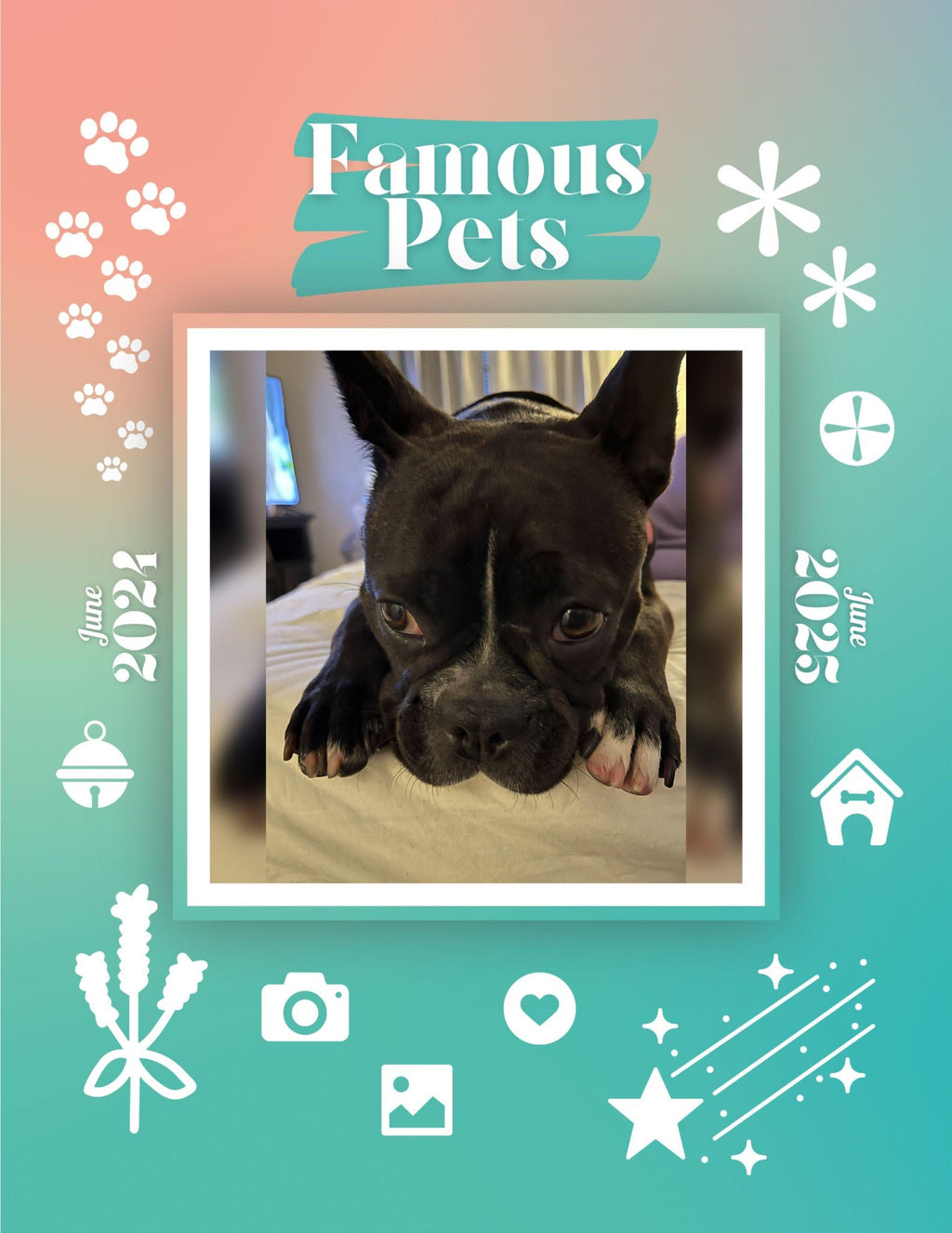 Famous Pets: June 2024-June 2025 Wall Calendar (Pre-Order)