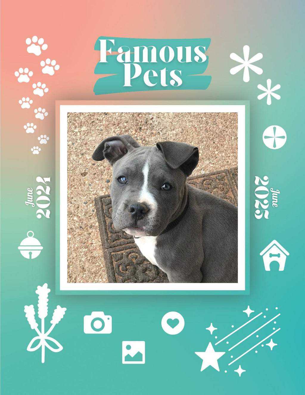 Famous Pets: June 2024-June 2025 Wall Calendar (Pre-Order)