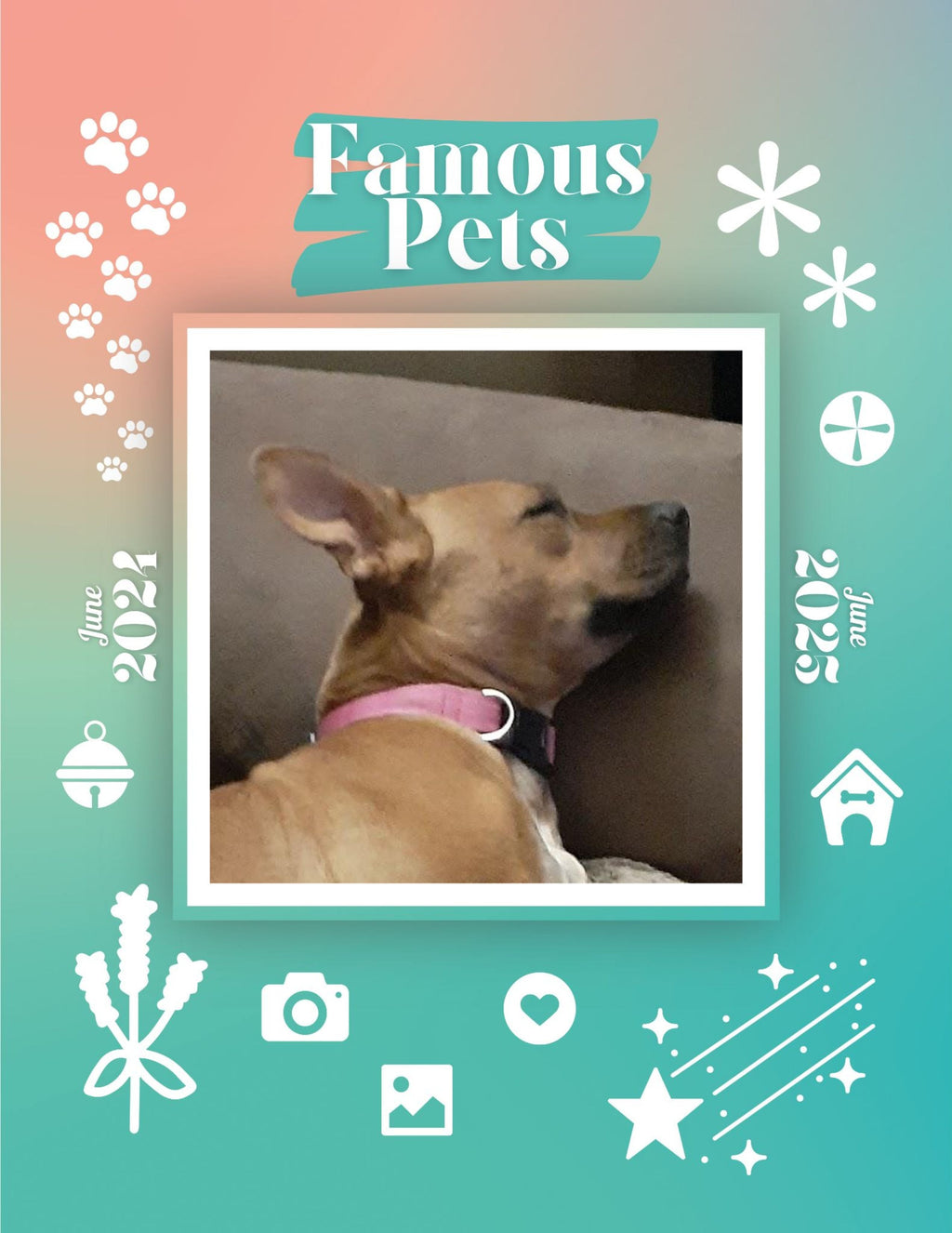 Famous Pets: June 2024-June 2025 Wall Calendar (Pre-Order)