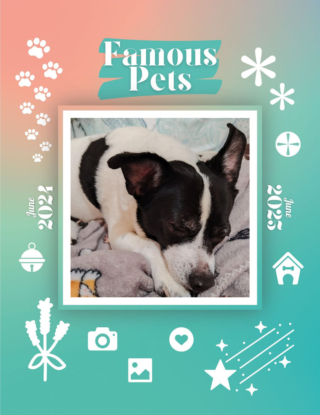Famous Pets: June 2024-June 2025 Wall Calendar (Pre-Order)