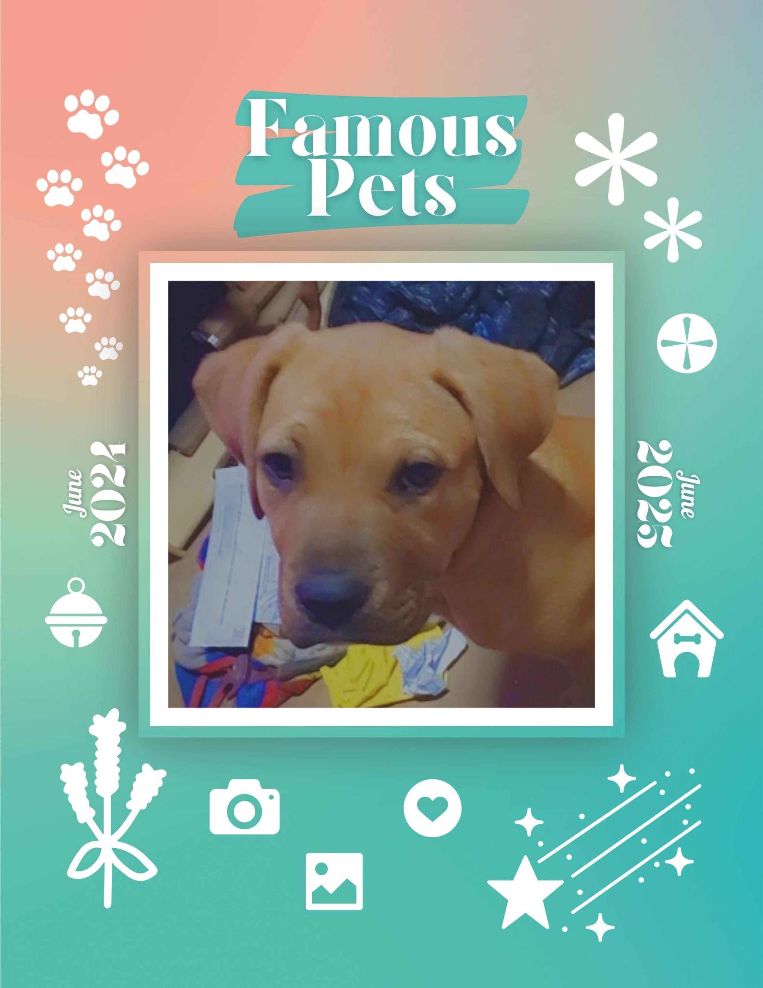 Famous Pets: June 2024-June 2025 Wall Calendar (Pre-Order)