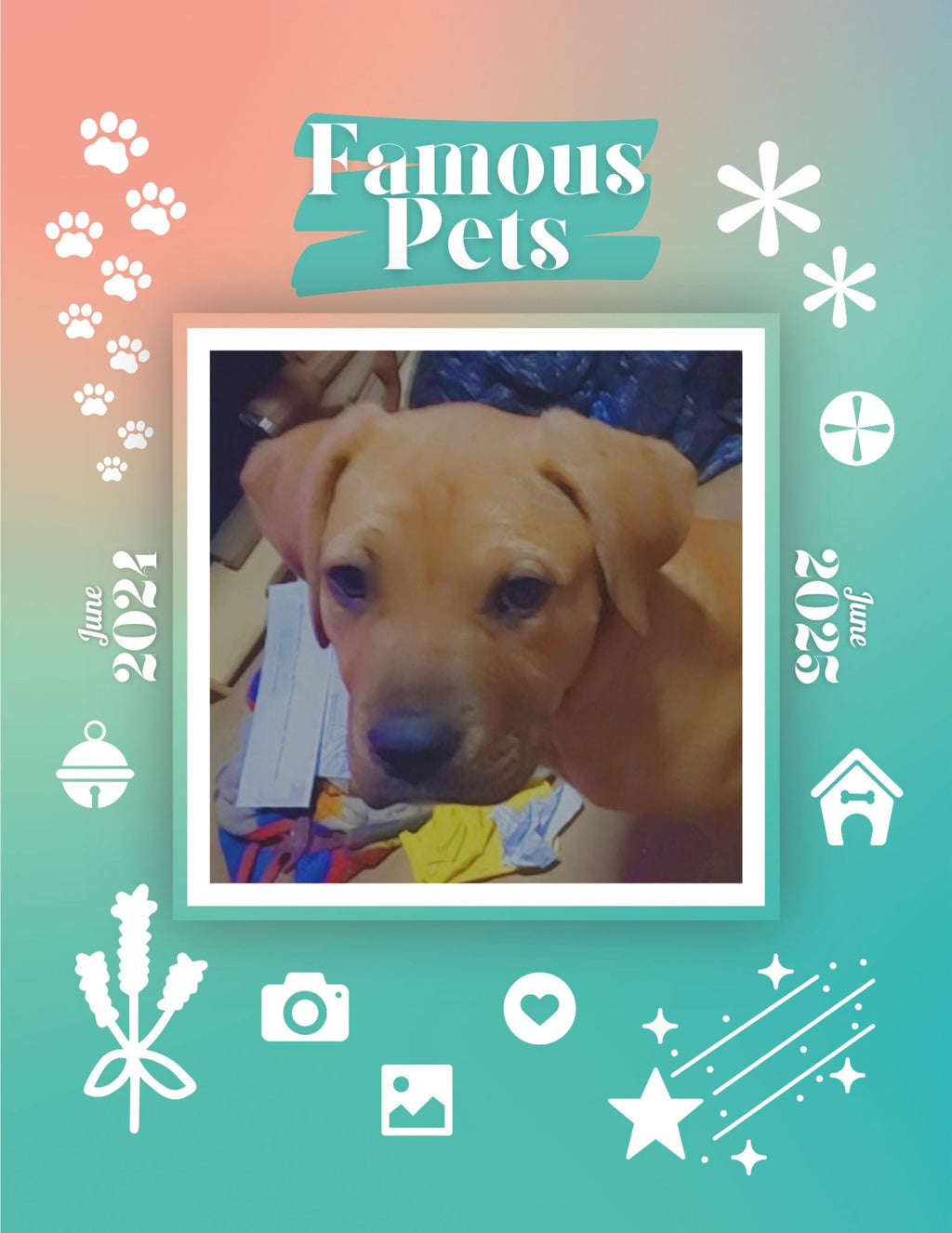 Famous Pets: June 2024-June 2025 Wall Calendar (Pre-Order)
