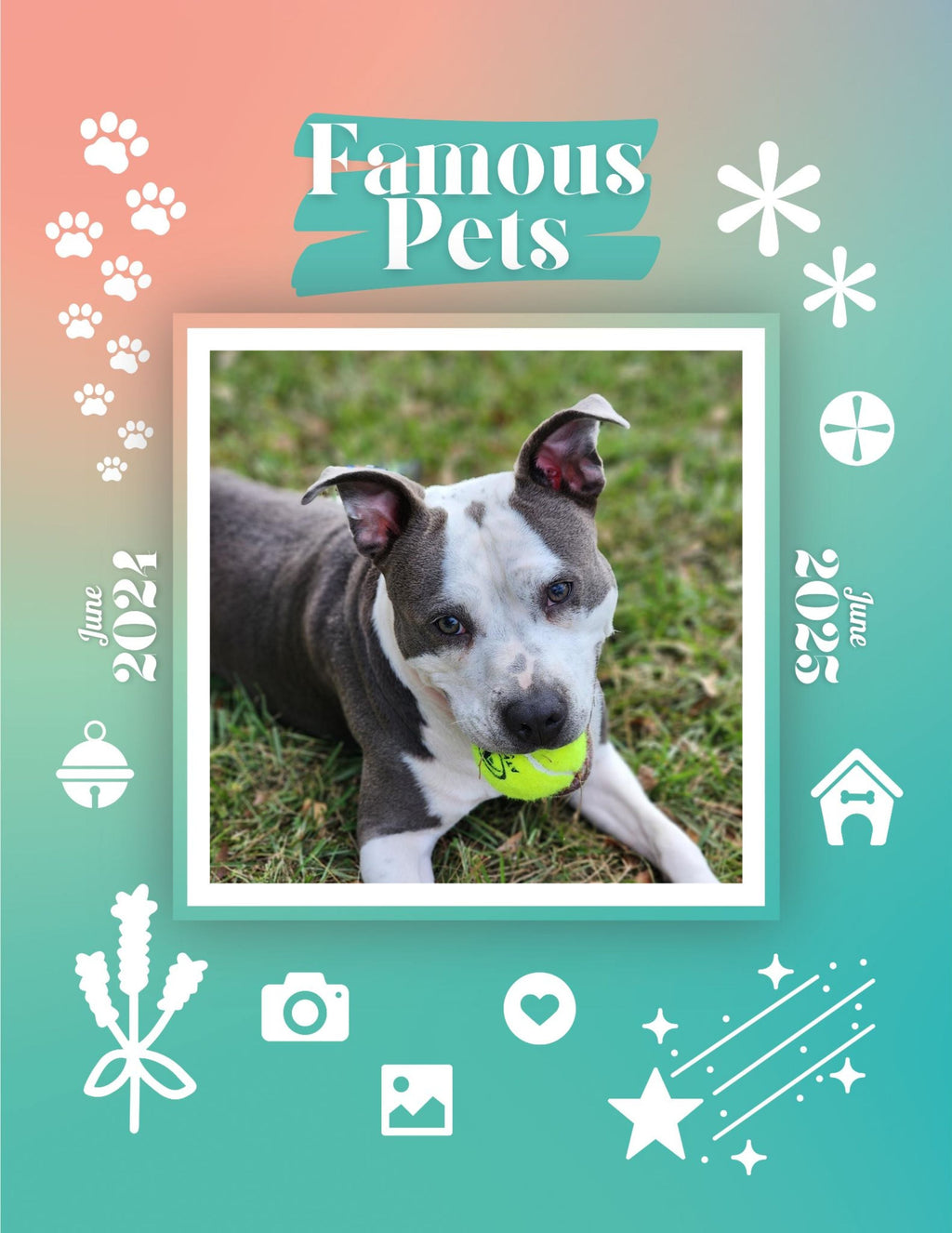 Famous Pets: June 2024-June 2025 Wall Calendar (Pre-Order)
