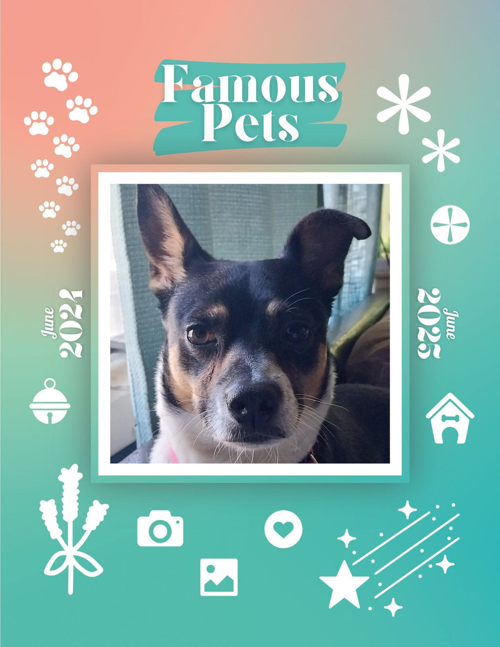 Famous Pets: June 2024-June 2025 Wall Calendar (Pre-Order)