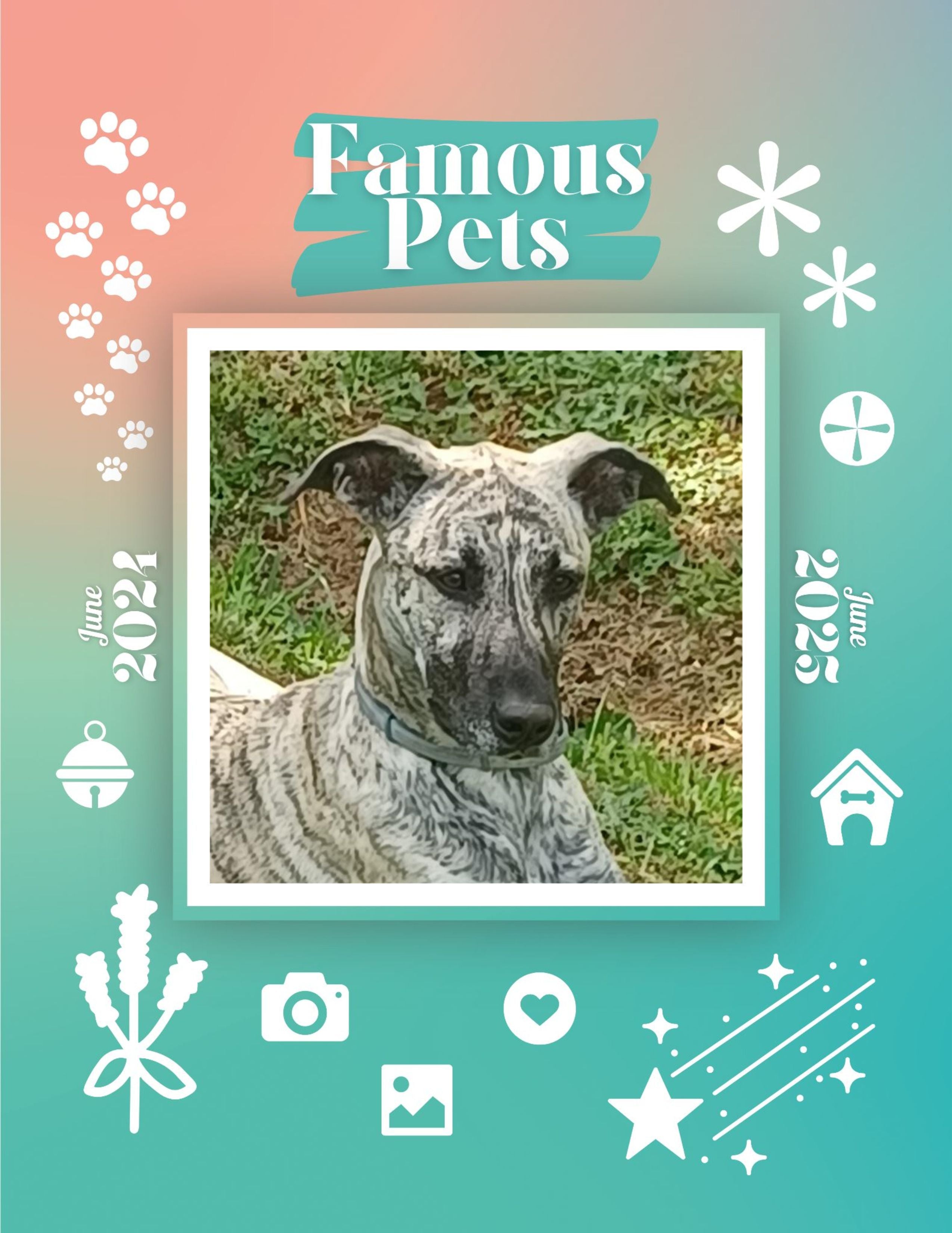 Famous Pets: June 2024-June 2025 Wall Calendar (Pre-Order)