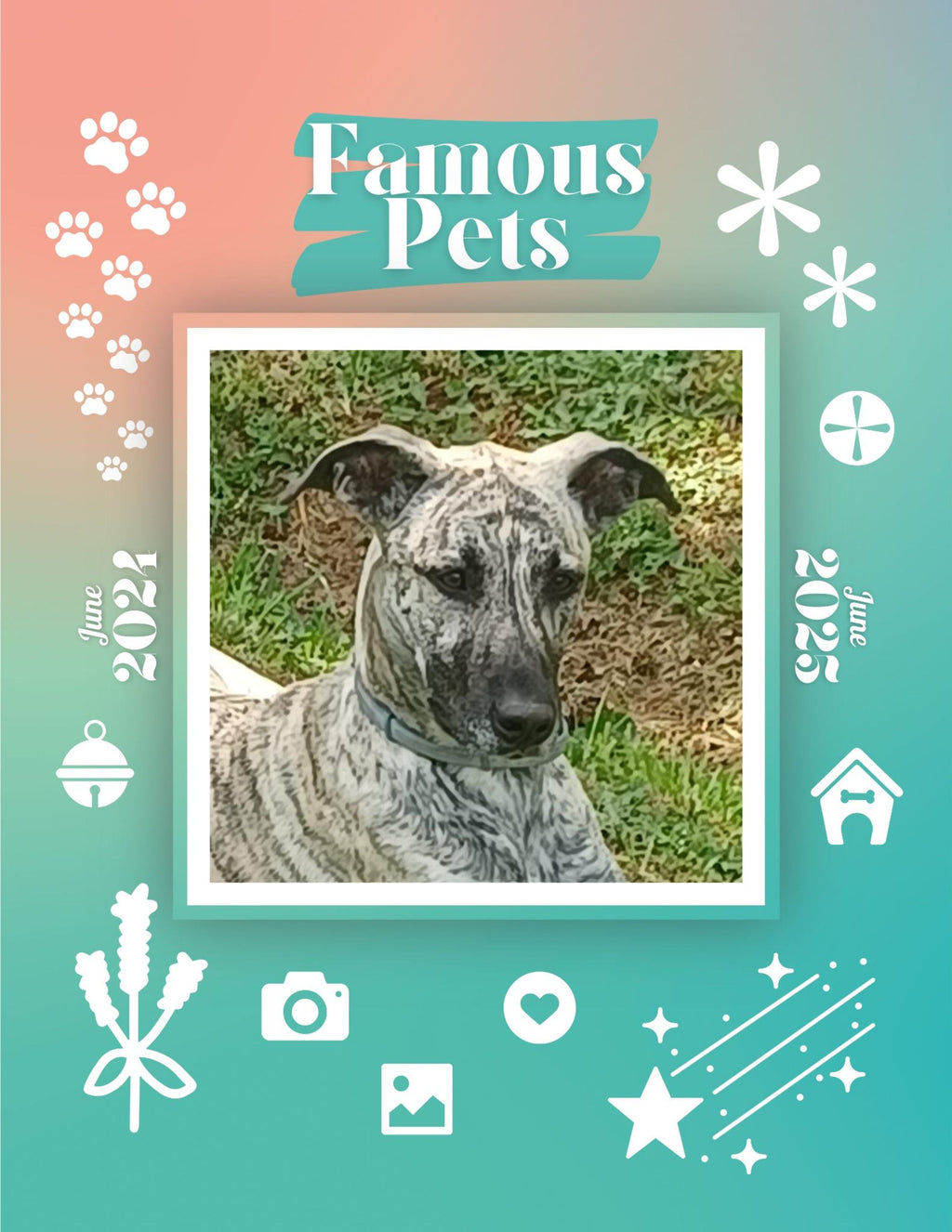 Famous Pets: June 2024-June 2025 Wall Calendar (Pre-Order)