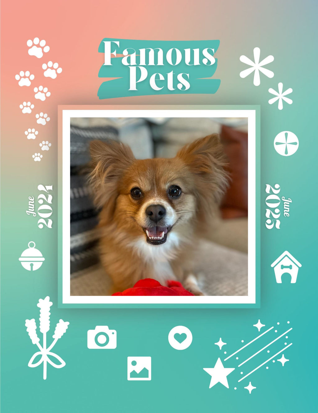 Famous Pets: June 2024-June 2025 Wall Calendar (Pre-Order)