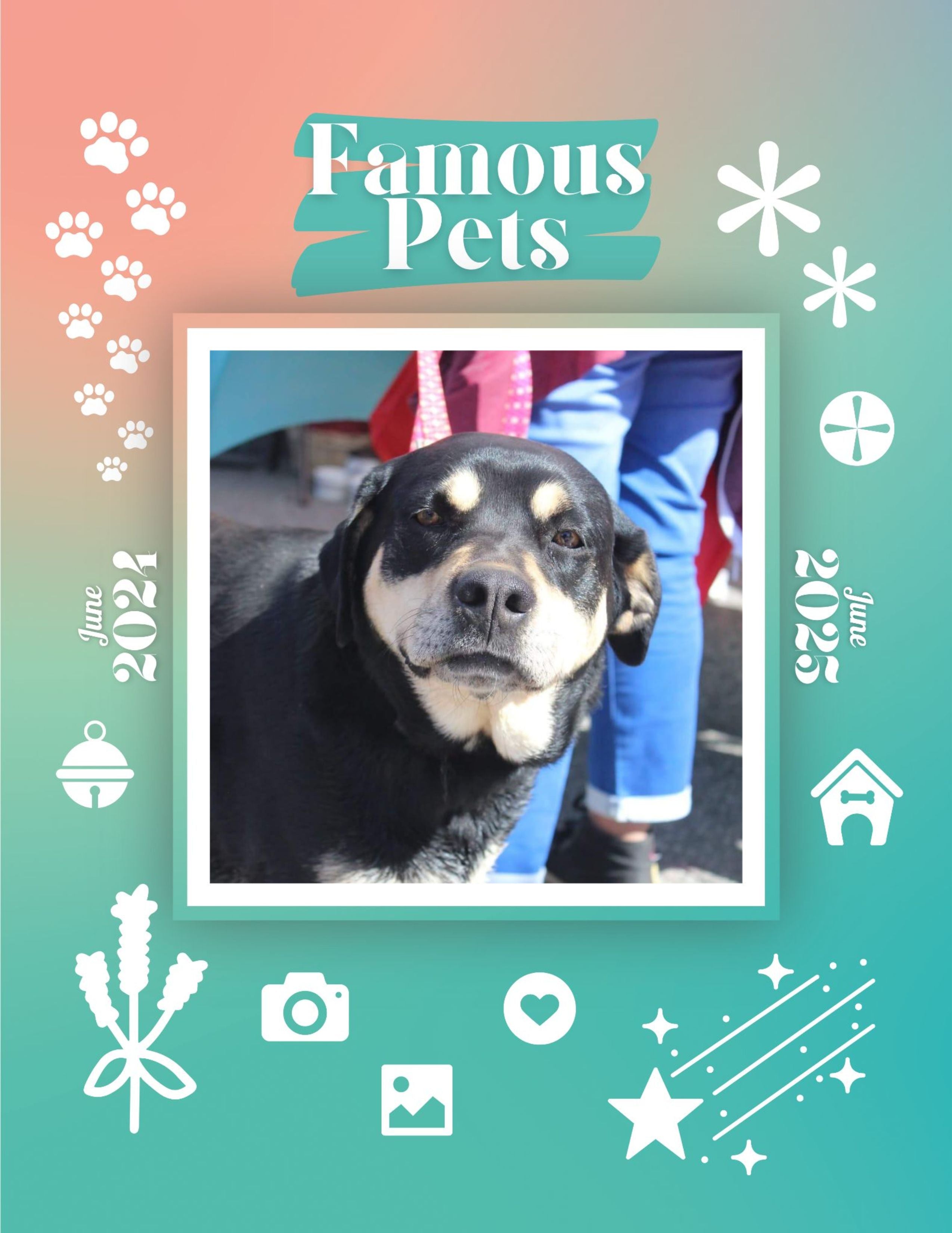 Famous Pets: June 2024-June 2025 Wall Calendar (Pre-Order)
