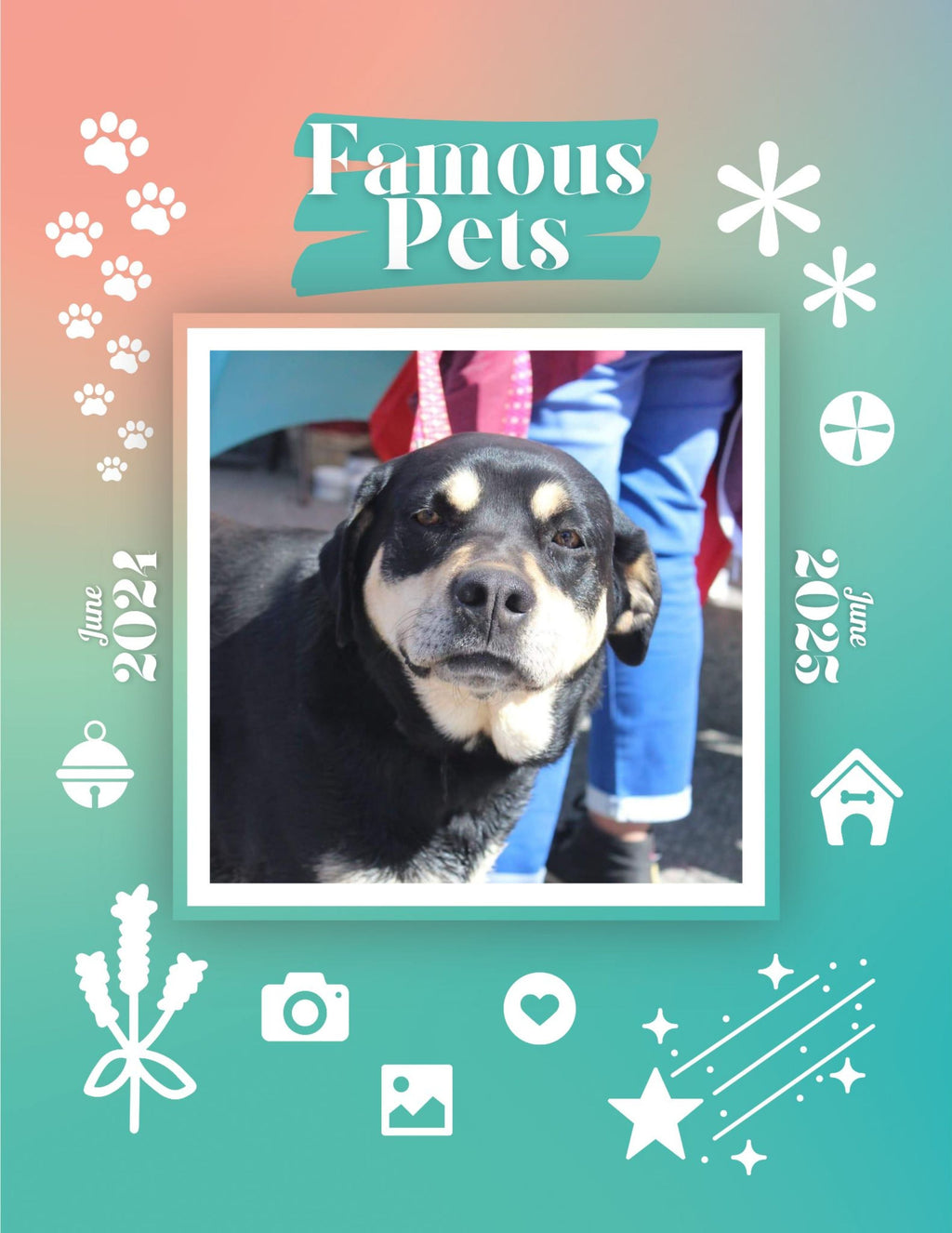 Famous Pets: June 2024-June 2025 Wall Calendar (Pre-Order)