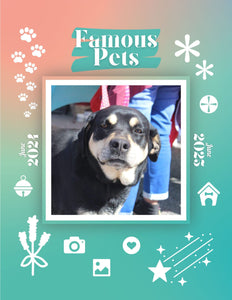 Famous Pets: June 2024-June 2025 Wall Calendar (Pre-Order)