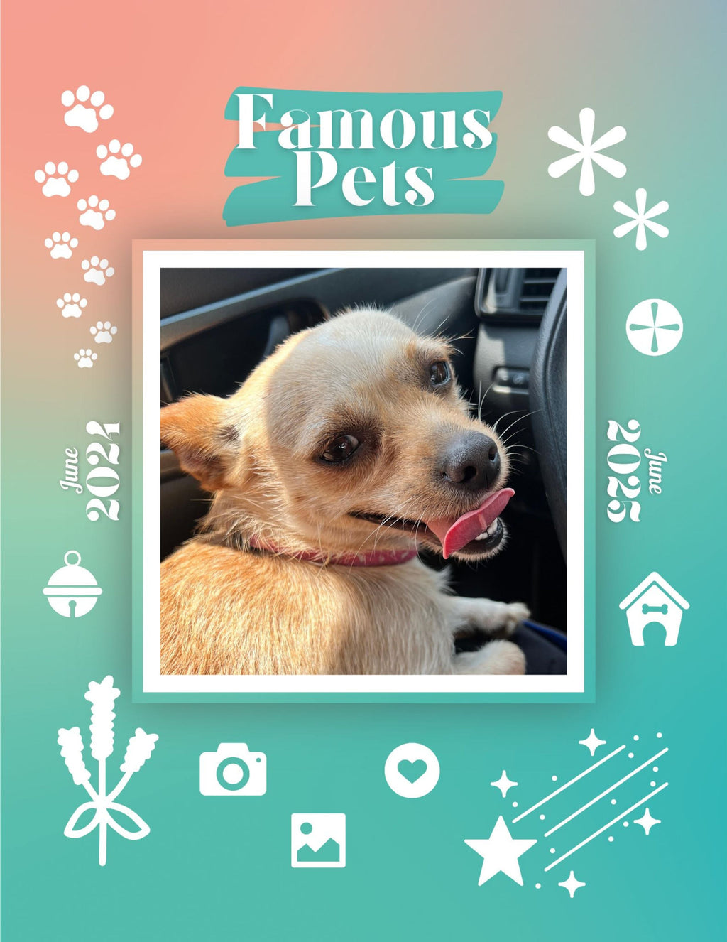 Famous Pets: June 2024-June 2025 Wall Calendar (Pre-Order)