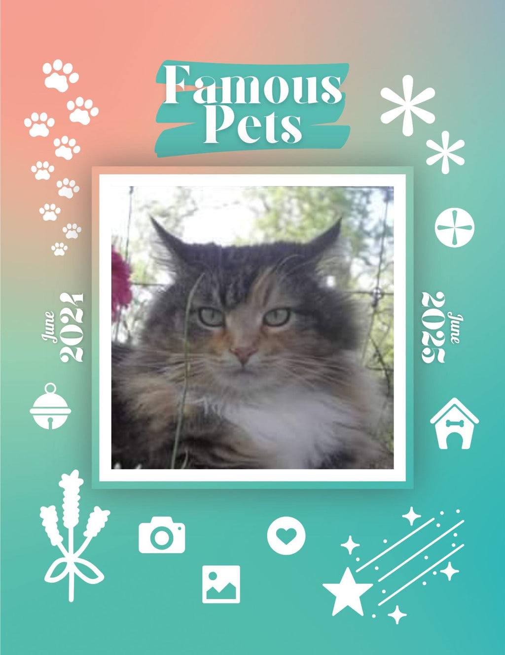 Famous Pets: June 2024-June 2025 Wall Calendar (Pre-Order)