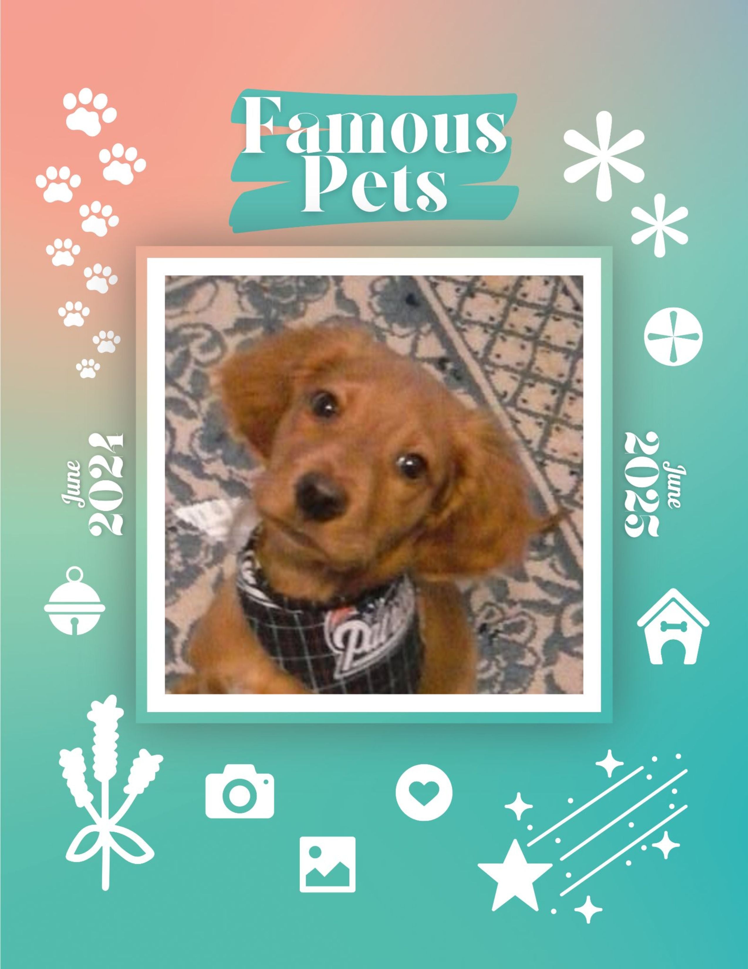 Famous Pets: June 2024-June 2025 Wall Calendar (Pre-Order)