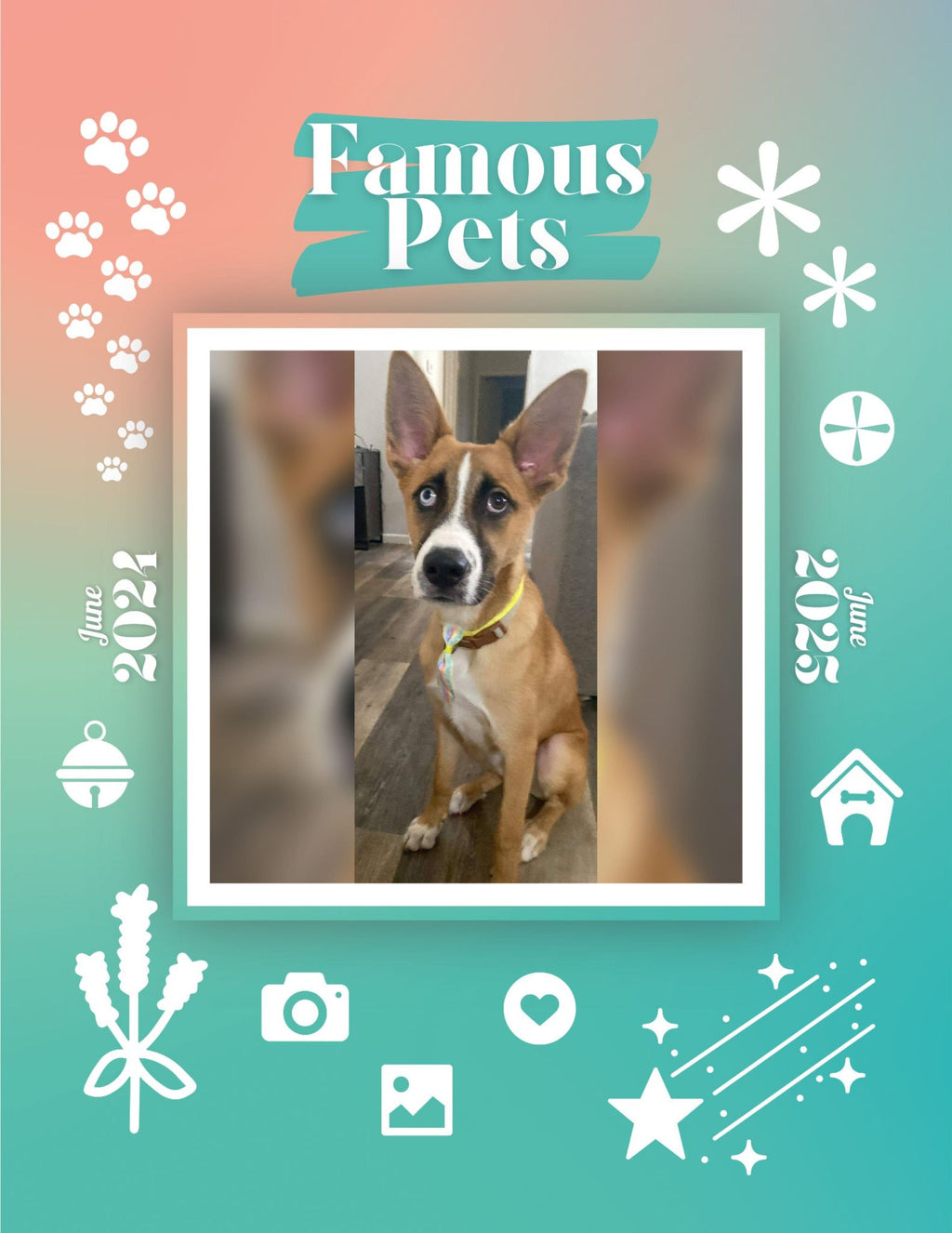 Famous Pets: June 2024-June 2025 Wall Calendar (Pre-Order)