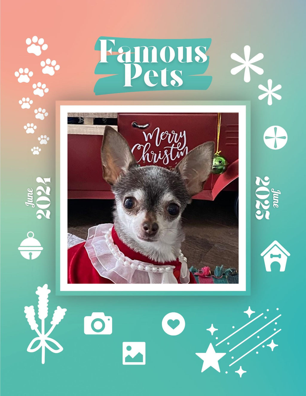 Famous Pets: June 2024-June 2025 Wall Calendar (Pre-Order)