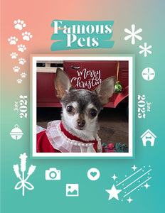 Famous Pets: June 2024-June 2025 Wall Calendar (Pre-Order)