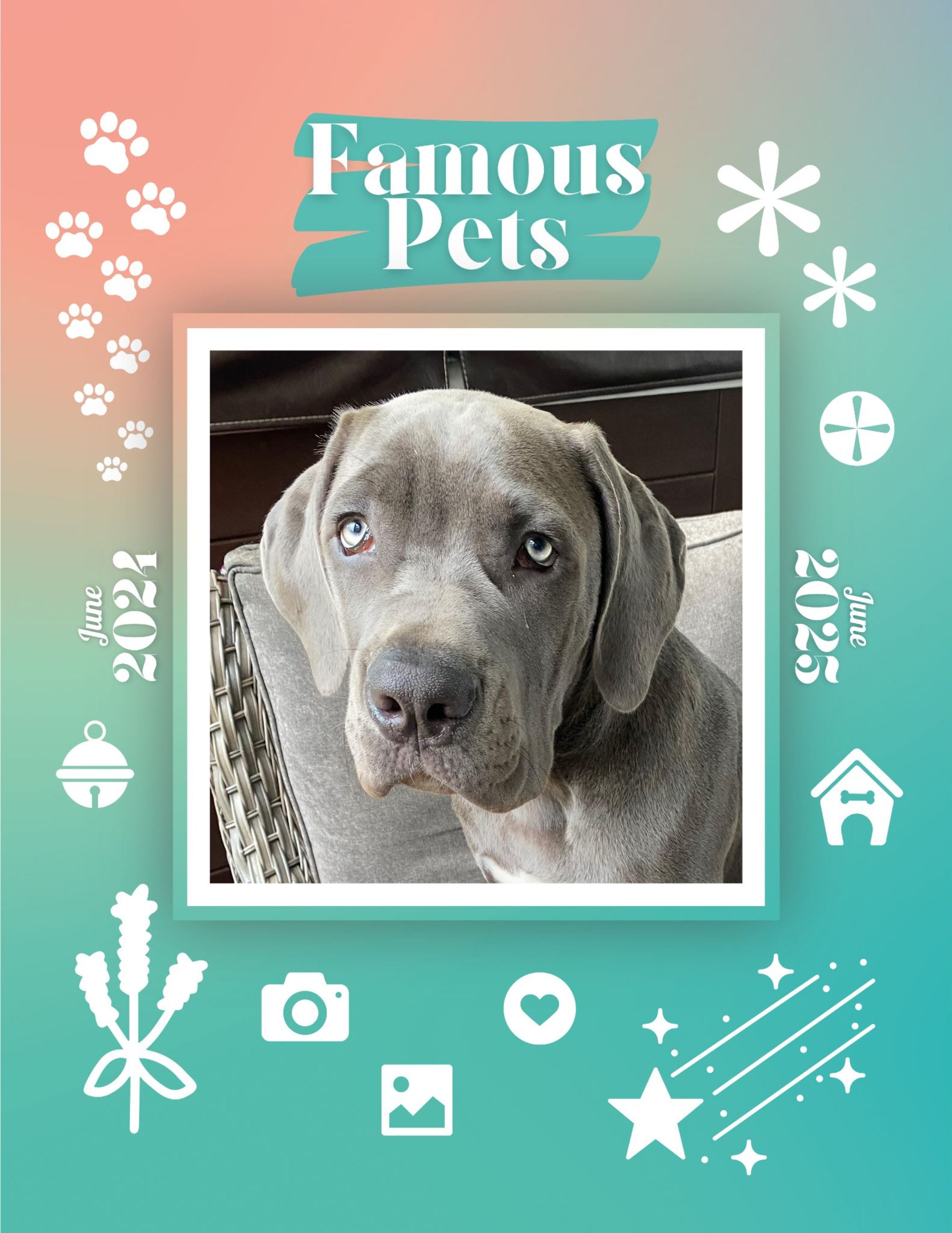 Famous Pets: June 2024-June 2025 Wall Calendar (Pre-Order)